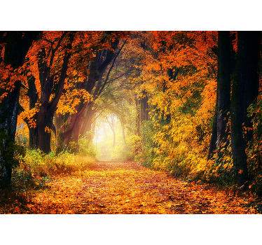 Rulou geam cameră pădure colorată de toamnă - TenStickers