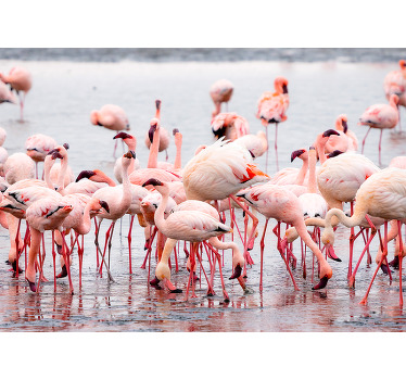 Rollo fenster wohnzimmer camargue mit flamingos - TenStickers