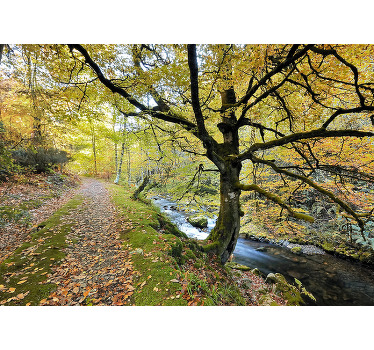 Rollo fenster wohnzimmer muniellos wald und fluss - TenStickers