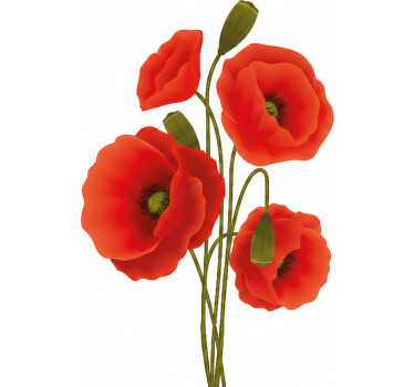 Poppies flower roller blind - TenStickers