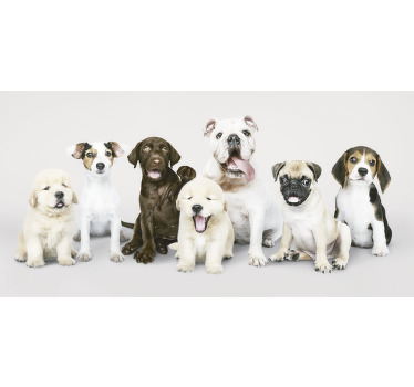Rollo fenster tiere hundewelpen fotografie - TenStickers