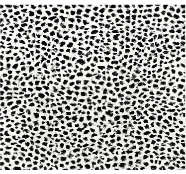 Rollo fenster schwarz im monochromen leopardenmuster - TenStickers