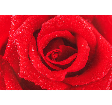 Red roller blind rose blossom - TenStickers