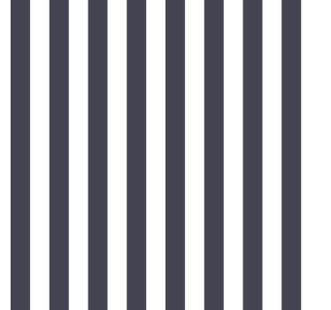 Hallway blind with fine vertical stripes - TenStickers