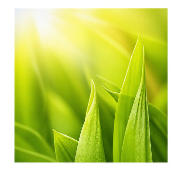 Green roller blind sunny plant - TenStickers