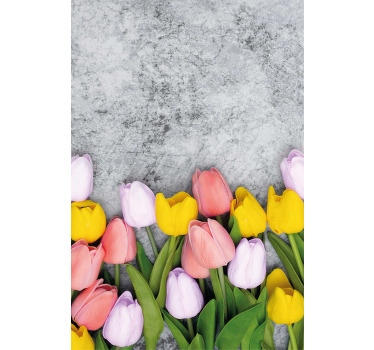 Store avec des tulipes roses, jaunes, violettes - TenStickers