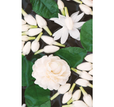 Store style belles fleurs de couleur blanche - TenStickers