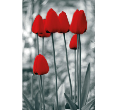Rollo mit Blumen Rote tulpen bunt - TenStickers