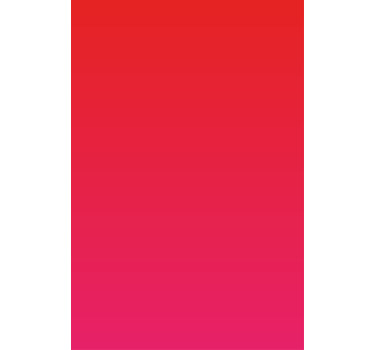 Rollo Fenster undurchsichtig intensive rosa farbe - TenStickers