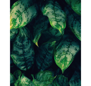 Rulou geam flori și plante frunze verzi vibrante - TenStickers