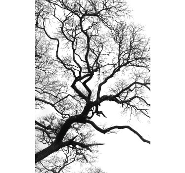 Store enrouleur salon arbre d'hiver sombre vu par la fenêtre - TenStickers