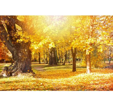 Estor salón Rayos del sol en un otoño - TenVinilo