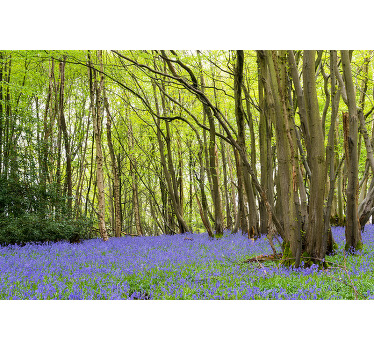 Blåklocka blommor i skogen vardagsrum rullgardin - Tenstickers