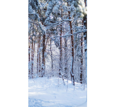 Rollo Fenster Baum verschneiter kiefernwald - TenStickers