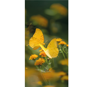 Realistická žlutá křídla Motýlí roleta - TenStickers