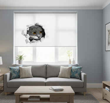 Cute cat white roller blind - TenStickers