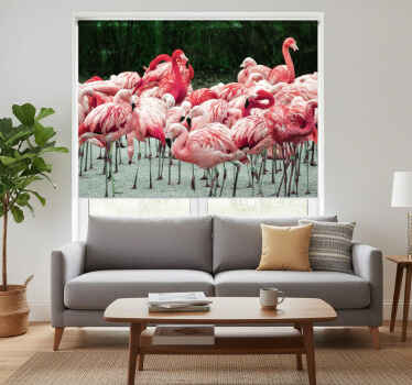 Rolgordijn woonkamer mooie flamingo's op water - TenStickers