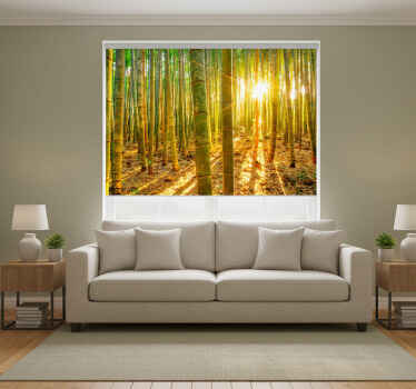 Green blind wallpaper sun and bamboo - TenStickers