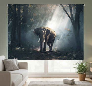 Living room blind elephant in the forest - TenStickers