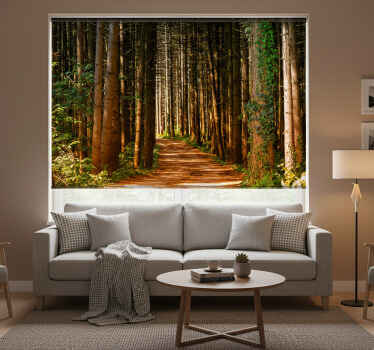 Living room blind 3d forest path design - TenStickers