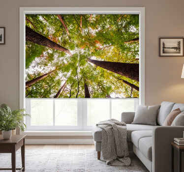 Living room blind inspired by woodland trees - TenStickers