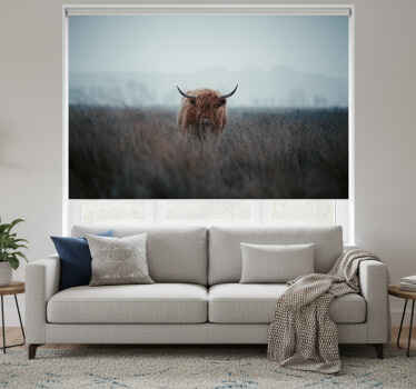 Living room blind highland cow design - TenStickers