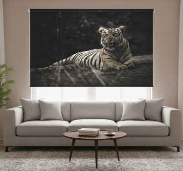 Rolgordijn woonkamer tiger ligt ontspannen - TenStickers