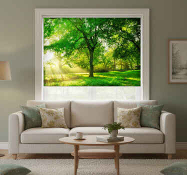 Rolgordijn woonkamer groen lichtvol bos - TenStickers