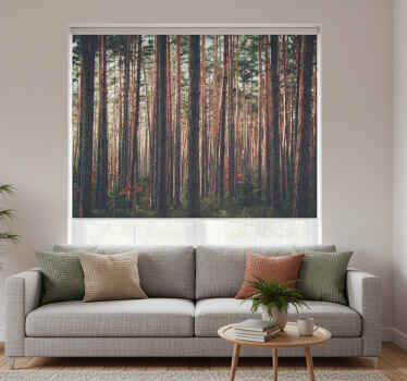 Rolgordijn woonkamer diep bos bomen landschap - TenStickers