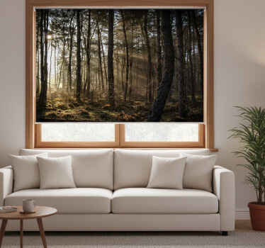 Rolgordijn woonkamer natuur zonsopgang in het bos - TenStickers