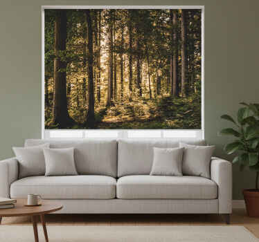 Rolgordijn woonkamer natuur middagbos - TenStickers