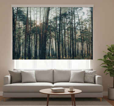 Rolgordijn woonkamer mooi dennenbos ontwerp - TenStickers