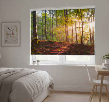 Toile fenêtre chambre lever de soleil en forêt - TenStickers