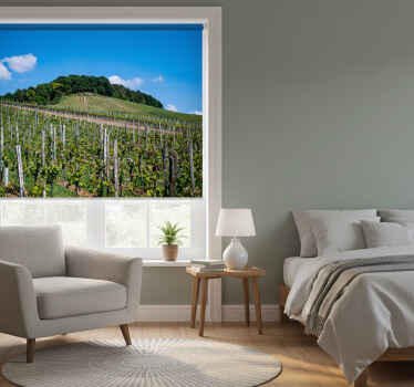 Toile fenêtre chambre prairie de vin - TenStickers