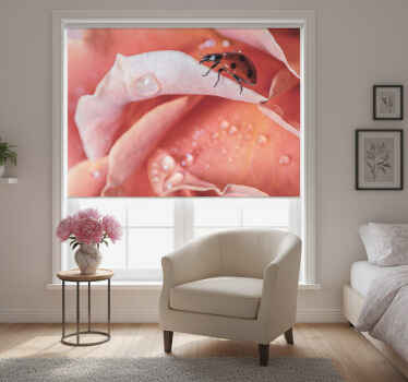 Toile fenêtre chambre style élégant fleur rose coccinelle - TenStickers
