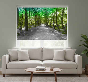 Living room blind sunny green forest road - TenStickers
