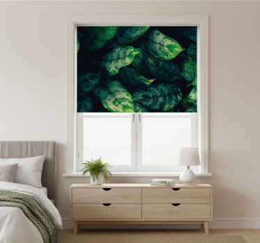Toile fenêtre chambre feuilles de maranta - TenStickers