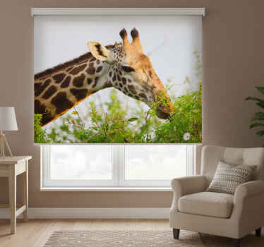 Toile fenêtre chambre girafe haute animal - TenStickers