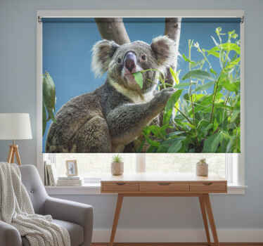 Toile fenêtre chambre ours koala mignons - TenStickers