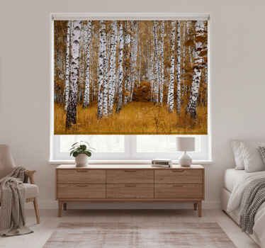 Blind bedroom birch trees design - TenStickers