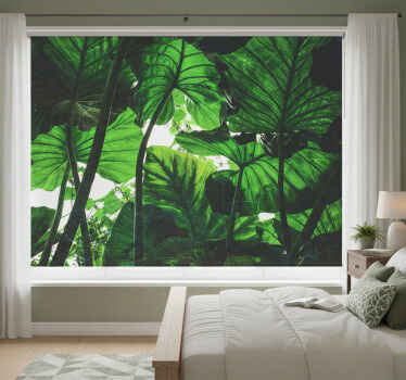 Rollo fenster schlafzimmer im schönen regenwalddesign - TenStickers