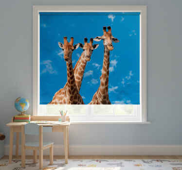 Toile fenêtre chambre enfant girafes et ciel bleu - TenStickers