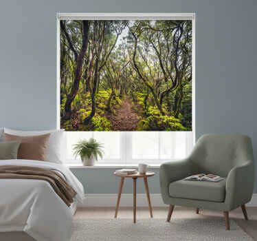 Rollo fenster wohnzimmer anaga tenerife - TenStickers