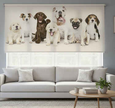 Rollo fenster tiere hundewelpen fotografie - TenStickers