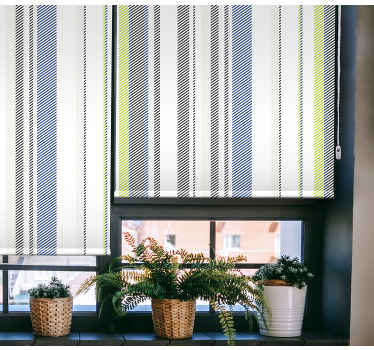 riscas multicoloridas com cegos de diferentes tamanhos - TenStickers