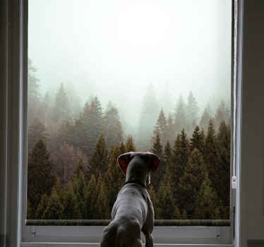 Rollo Fenster Baum nebligen waldblick - TenStickers