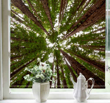 Estores de rolo de árvores design de copa alta - TenStickers