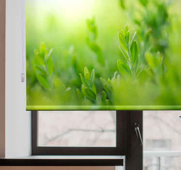 Rulou geam flori și plante poză cu verdeață luxuriantă - TenStickers