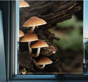 Estore de rolo flores e plantas cogumelos na madeira - TenStickers