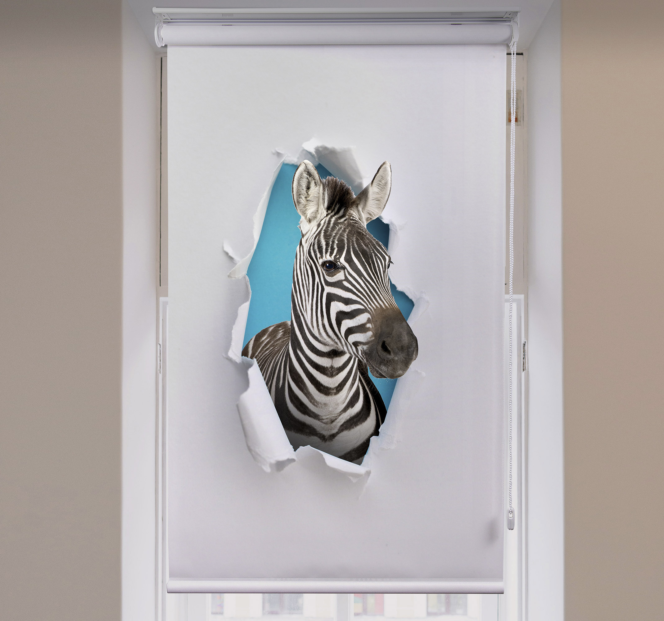 Tenstickers Dieren rolgordijnen Zebra